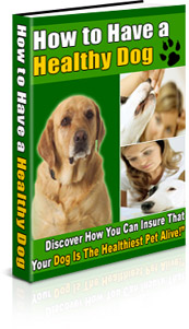 healthy dog book