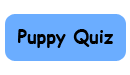 puppy quiz